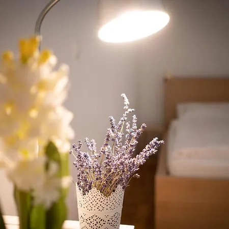 Free Parking! Linden Apartment, Ac, Smart Tv, Wifi Διαμέρισμα